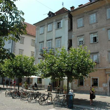 Vitez Apartment II Ljubljana Eksteriør bilde