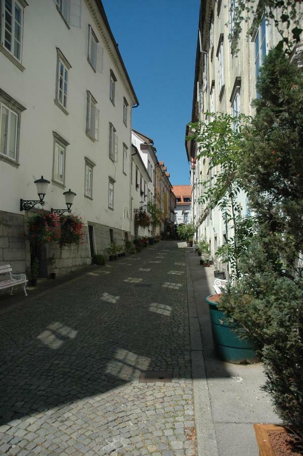 Vitez Apartment II Ljubljana Eksteriør bilde