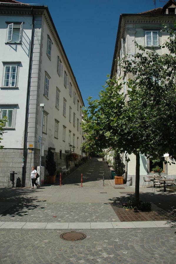 Vitez Apartment II Ljubljana Eksteriør bilde