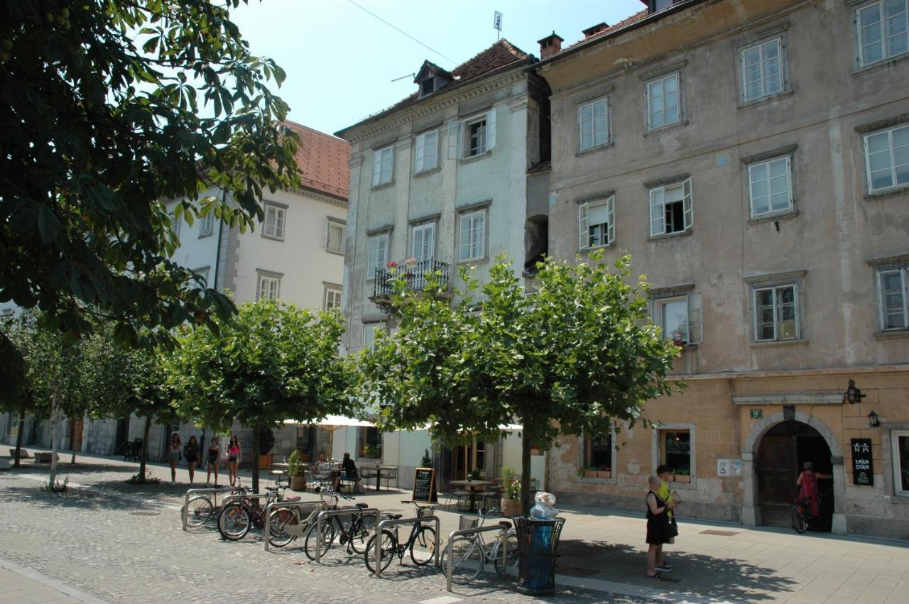 Vitez Apartment II Ljubljana Eksteriør bilde